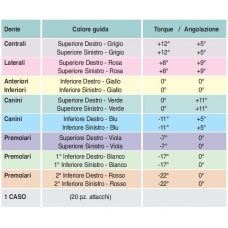 Dente Premolare Superiore Sinistro Viola -7 0 Slot022 10pz